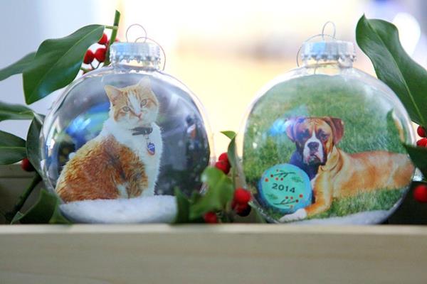 Valokuvalahjojen tekeminen jouluksi - luovia ideoita ja ohjeita kissan koiran lemmikkieläinten koristeiksi