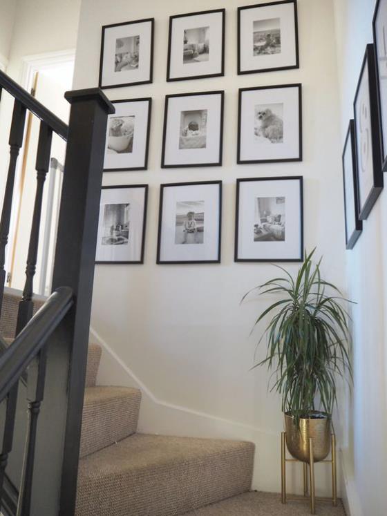 Valoseinä portaikon ruudukossa ripustaa kuusi kuvaa kauniisti suunnitellusta kukkaruukusta portaissa