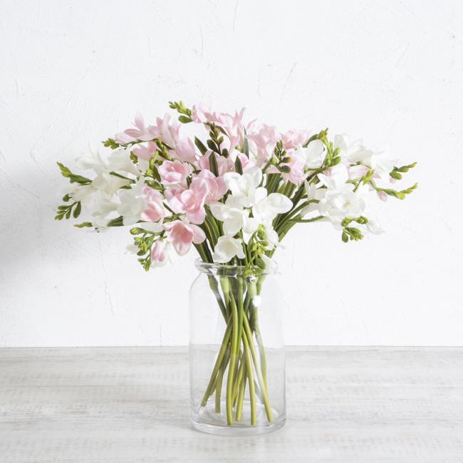 Freesia maljakossa herkkiä kukkia valkoisissa ja vaaleanpunaisissa pitkissä ohuissa varret