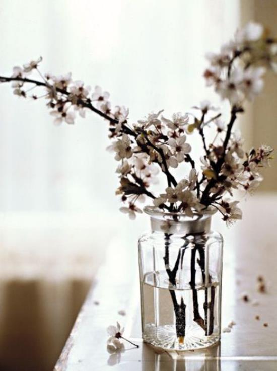 Kevään koristelu kirsikankukilla kaksi kolmea ohutta valkoisen kukan haaraa lasissa