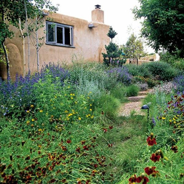 Puutarha maisema xeriscaping edestä