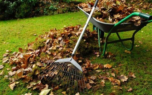 Puutarha syksyllä Mitä tehdä nyt Kerää lehtiä ja komposti