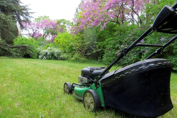 Puutarha kesällä Nurmikon leikkaaminen on olennainen huoltotoimenpide kesäpuutarhassa