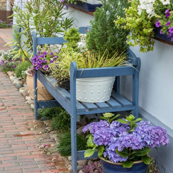 Koristele puutarhapenkki - ideoita ja vinkkejä maagiseen puutarhatunnelmaan, istuta kauniit siniset penkki koristeet