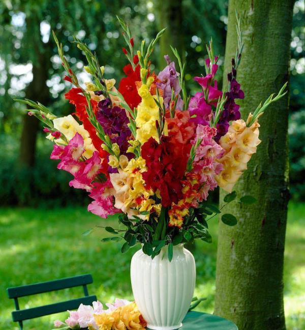 Puutarhan kukat paahtavalle auringolle värikkäitä gladioleja valkoisessa maljakossa, jotka sopivat koruihin ulkosohvapöydälle