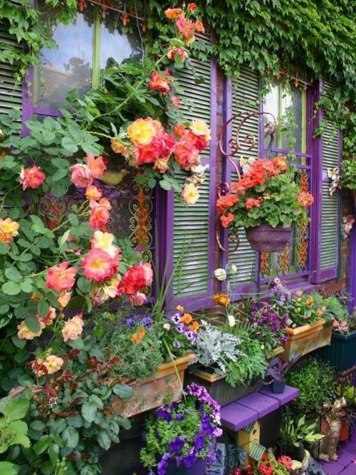 Puutarhakoristeesi ja puutarhatarvikeikkunasi kutsuvat violetteja kukkia