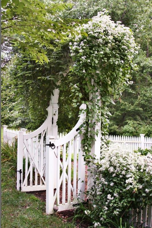 Puutarhasuunnitteluideoita valkoinen klematis valkoinen puutarhaportin aita puusta