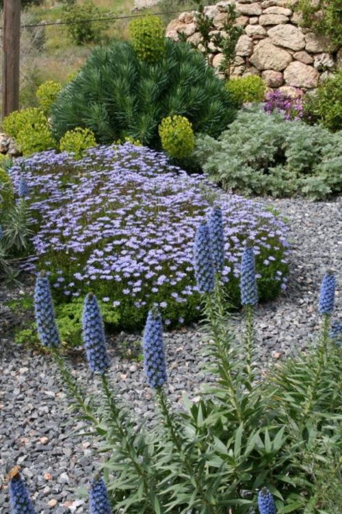 kukat violetti maisema puutarha suunnittelu soraa