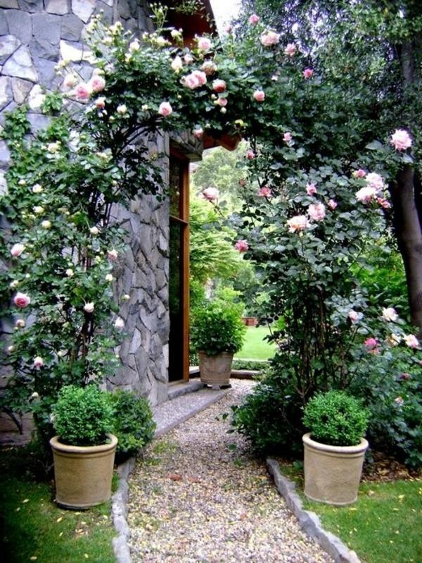 Puutarha suunnittelu sora kivet ruusut istutuskoneet jalkakäytävä