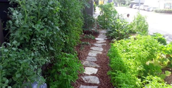 Puutarhasuunnittelua ja puutarhanhoitoa kevään kävelytien kivissä