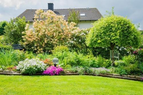 Puutarhaideoita Kukat Pensaat Puut erittäin houkuttelevia Feng Shui -sääntöjä