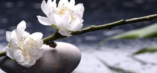 Puutarhaideoita Feng Shui pyöreä kivi valkoinen kukka