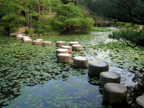 Puutarhaideoita Feng Shui -vesilampun puutikkujen mukaan vesikasvillisuus