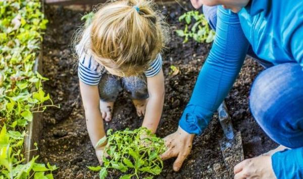 Puutarhapelit lapsille puutarhanhoidossa
