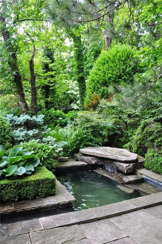 Garden lampi kuvia puutarha ja maisemointi puita