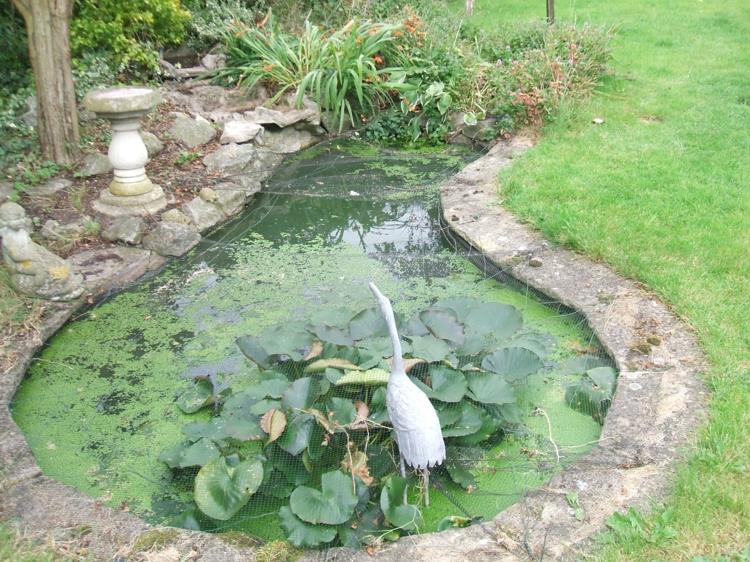 Puutarha lampi kuvat puutarha patsas lintu vesikasvit lampi