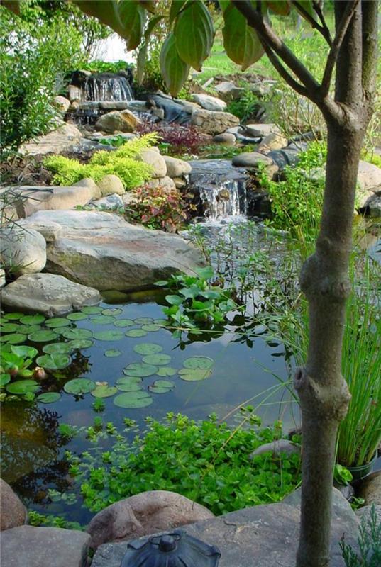 Puutarhalammet vesikasvit lampi puutarhan suunnittelu kivillä