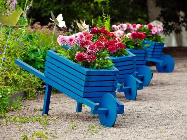 Puutarhanhoitovinkkejä kaikille Maalaus vanhoja puisia kärryjä siniseksi Istutuksen kohokohdat puutarhassa