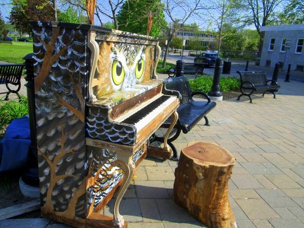 Käytetty siipipöllö