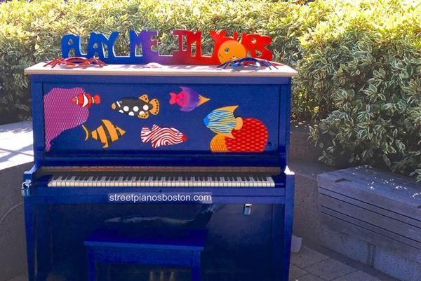 Käytetyt siivet leikkisä värikäs kala meri