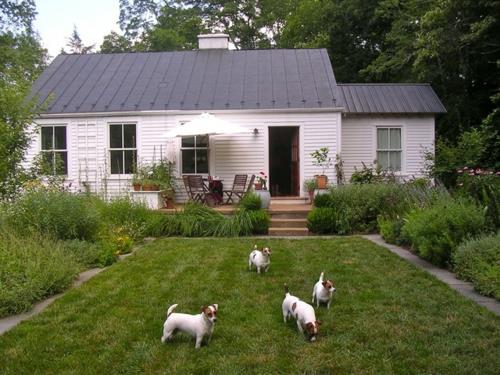 Luo viihtyisä koti takapihalla ruohoalue vastuullisia koiraeläimiä