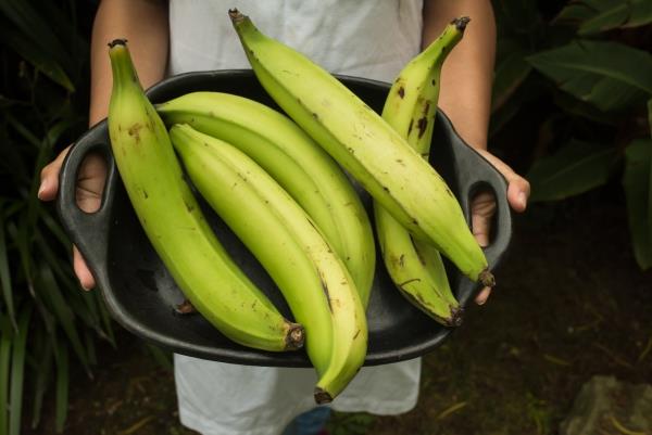 Terveellisimmät hedelmät Top 5 ravitsevinta lajiketta plantain kasvisbanaaneja terveellisiä