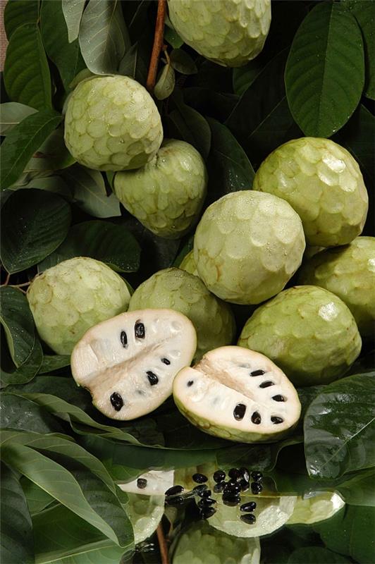 Terveellisimmät hedelmät Top 5 ravitsevinta lajiketta kaneli omena terve lohikäärmeen munat