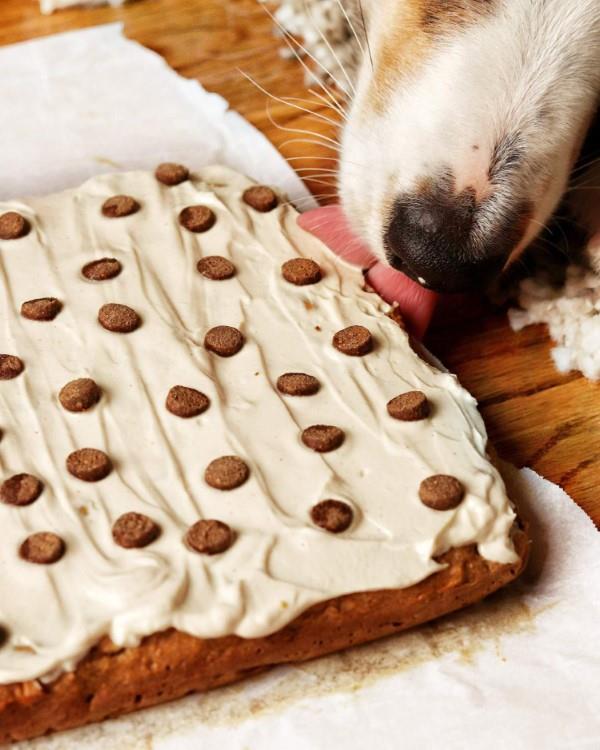 Terveellisiä koiran kakkuresepti -ideoita, jotka tekevät Bellosta onnellisen koirankakun yksinkertaisesti herkullisen
