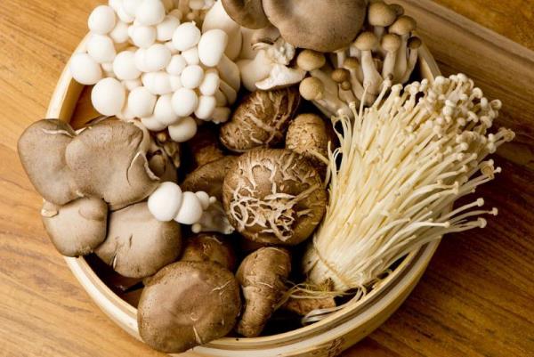 Terveellinen ruoka korona -aikoina tunnistaa syötävät sienet keräämään ruoanlaittoa