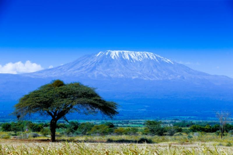 Kilimanjaron summiteer -vuorikiipeilijä kohtelee vuoria ympäri maailmaa