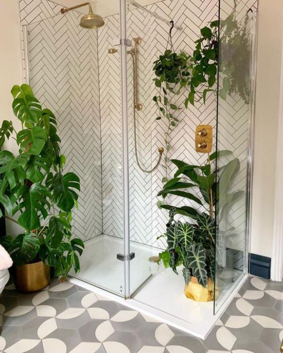 Vihreä kylpyhuoneen suihkukaapin lasiseinässä Philodendron -roikkuvat kasvit kuvioidut lattialaatat