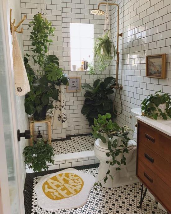 Vihreä kylpyhuoneen suihkunurkassa WC -kulho turhamaisuus monet vihreät kasvit vihreä keidas