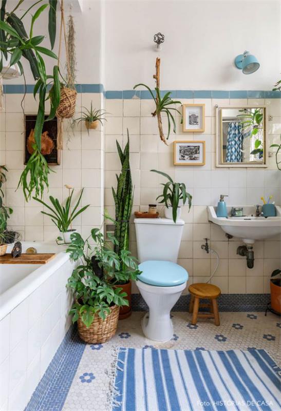 Vihreä kylpyhuoneessa Ilmakasvit menestyvät ilman maaperää, sopivat kylpyhuoneeseen