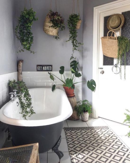 Vihreä kylpyhuoneessa harmaa kylpyhuone retro -tyylisessä vapaasti seisovassa kylpyammeessa, jossa on paljon roikkuvia kasveja