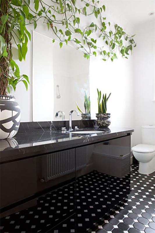 Vihreä kylpyhuoneessa kaunis kylpyhuoneen valopeili Efeutute keulahamppu ruukussa