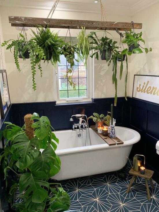 Vihreä kylpyhuoneessa kaunis kylpyhuone valkoinen ja tummansininen Philodendron ruukussa palkit roikkuu kasveja