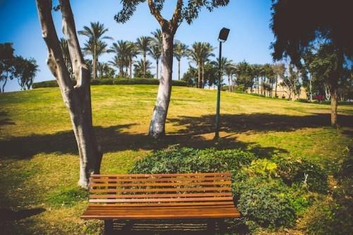 Vihreän maiseman piknikpaikka Ali-Azhar Park Kairo