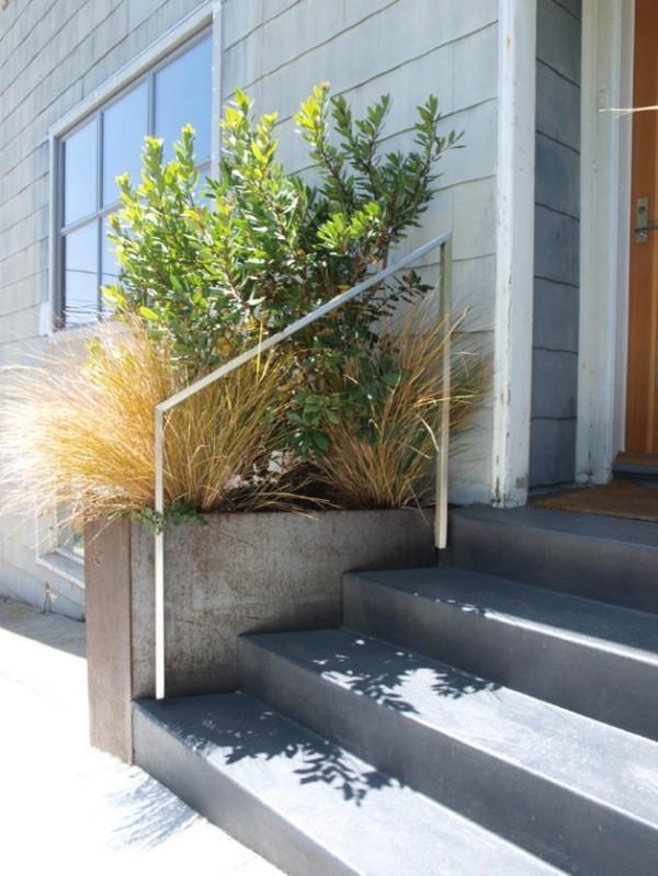 Koristekasvien vihreät pensaat kehystävät talon sisäänkäynnin Koristekasvien vihreät pensaat kehystävät talon sisäänkäynnin