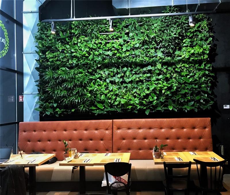 Vihreän seinän suunnittelu Vihreät kasvit sohvan takana