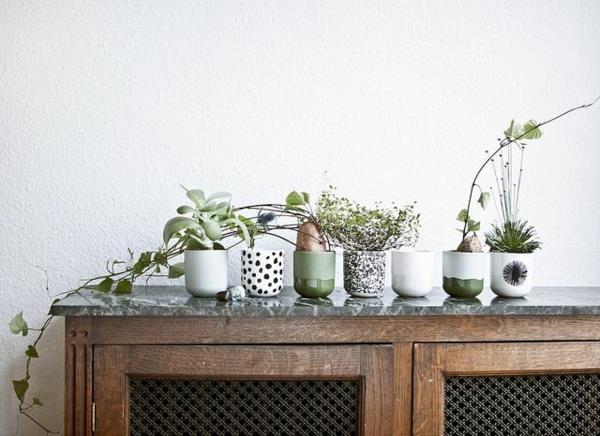 Vihreät kasvit kuvia ruukkukasveja huoneen pöytä