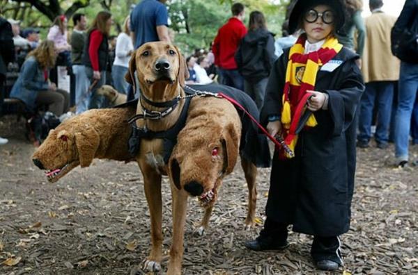 Halloween-lasten pukusuunnittelu juhlava kolmipäinen koira