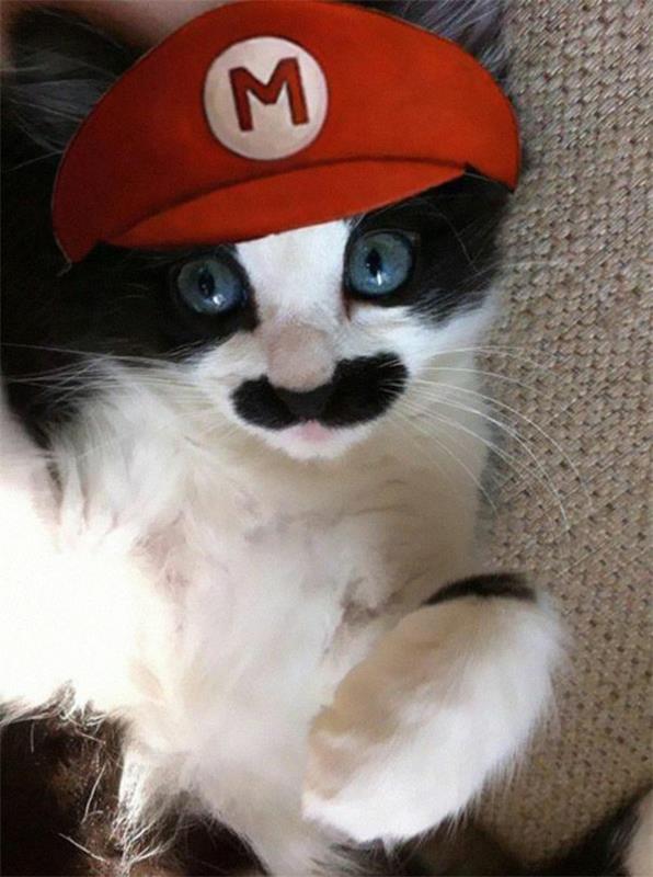 Halloween -asut lemmikeille Super Mario