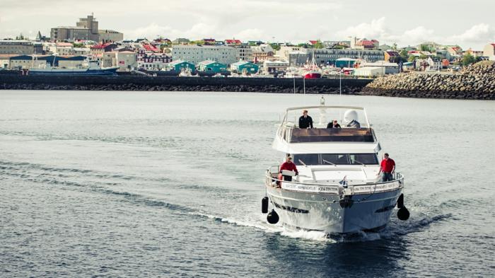 Pääkaupunki Islanti matkustaa Reykjavikin nähtävyyksiin