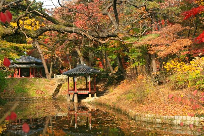 Etelä -Korean pääkaupunki Changdeok ampui salaperäisen puutarhan