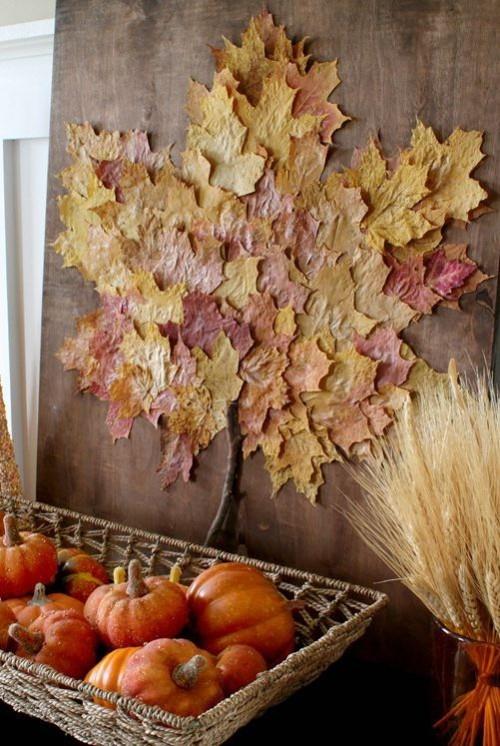 Herbstdeko tinker värikkäitä syksyn lehtiä seinälle kauniisti järjestettyjä koristeellisia kurpitsia vehnänvarret alla