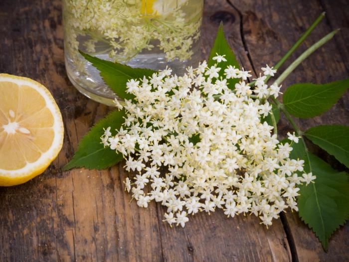 Elderflower -reseptisiirappipannu