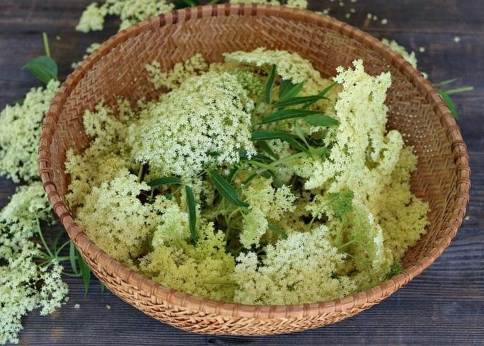 Elderflower -resepti sitruunavedellä