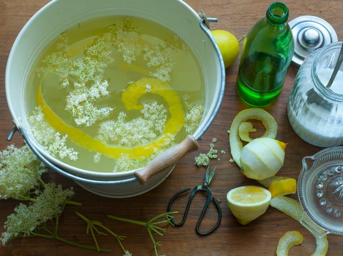 Elderflower -reseptisiirappi sitruunan pohjana