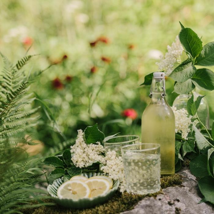 Elderflower -reseptisiirappipullo tuoreita kukkia