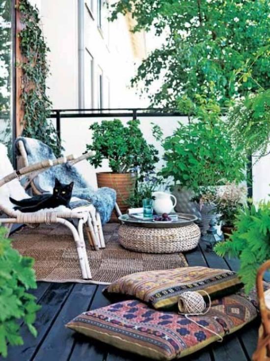 Puinen terassi suunnittelu boho tyyli istuintyyny musta kissa monia vihreitä kasveja